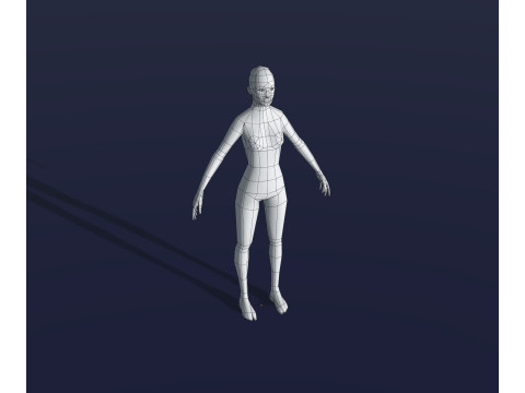 Human Body Base Mesh 28 Animations 10 Models Pack 3D Model