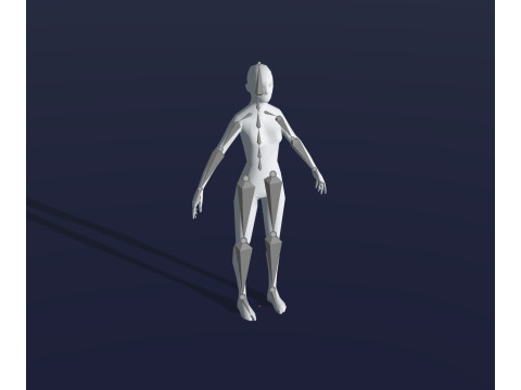 Human Body Base Mesh 28 Animations 10 Models Pack 3D Model