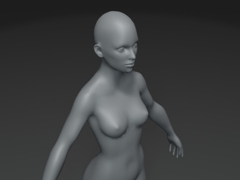 Female Body Base Mesh 28 Animations 10k Polygons 3D 모델