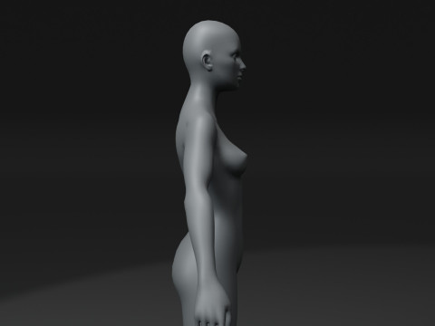 Female Body Base Mesh 28 Animations 10k Polygons 3D 모델