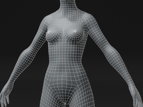 Female Body Base Mesh 28 Animations 10k Polygons 3D 모델