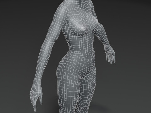 Female Body Base Mesh 28 Animations 10k Polygons 3D 모델