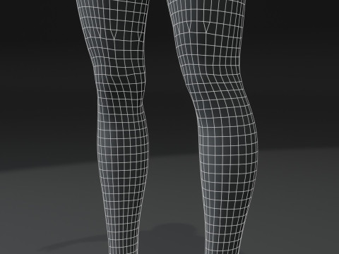 Female Body Base Mesh 28 Animations 10k Polygons 3D 모델