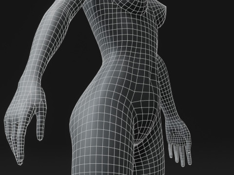 Female Body Base Mesh 28 Animations 10k Polygons 3D 모델