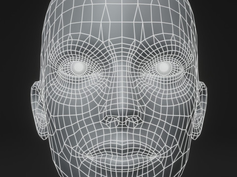 Female Body Base Mesh 28 Animations 10k Polygons 3D 모델