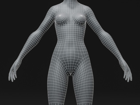 Female Body Base Mesh 28 Animations 10k Polygons 3D 모델