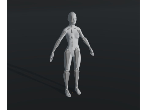 Female Body Base Mesh 28 Animations 10k Polygons 3D 모델