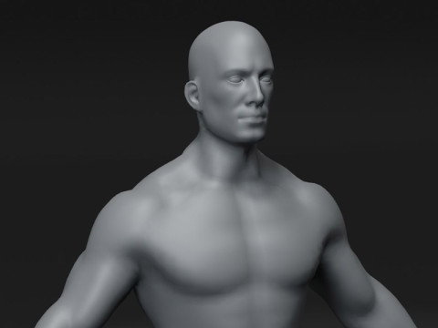 Male Body Base Mesh 28 Animations 10k Polygons Modelo 3D