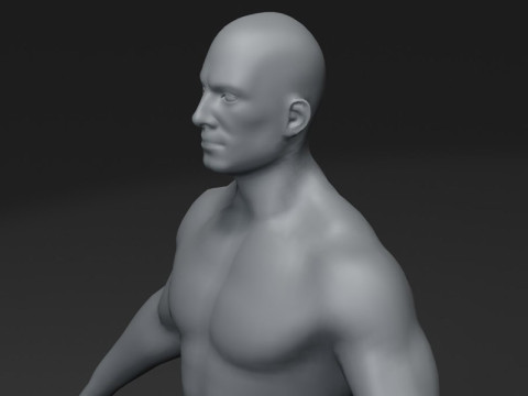 Male Body Base Mesh 28 Animations 10k Polygons 3D Model