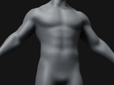 Male Body Base Mesh 28 Animations 10k Polygons 3D Model