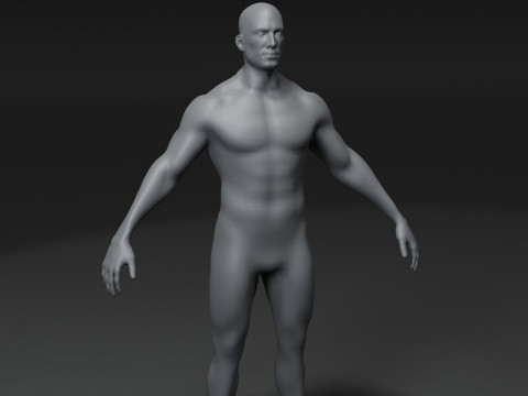 Male Body Base Mesh 28 Animations 10k Polygons 3D Model