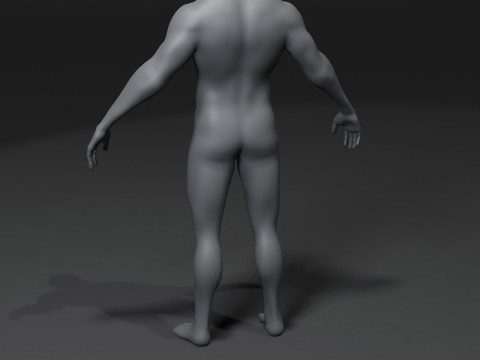 Male Body Base Mesh 28 Animations 10k Polygons 3D Model