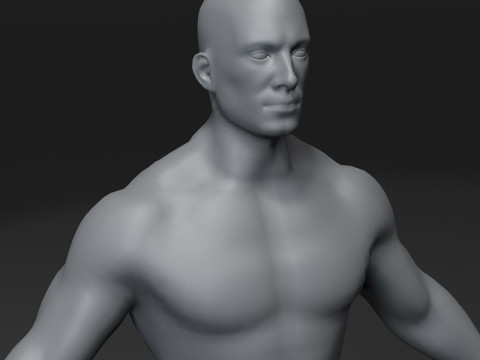 Male Body Base Mesh 28 Animations 10k Polygons 3D Model