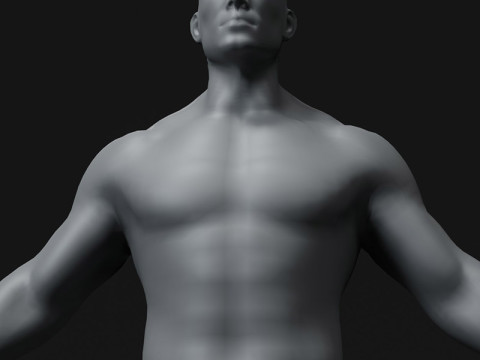 Male Body Base Mesh 28 Animations 10k Polygons 3D Model