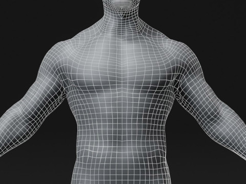 Male Body Base Mesh 28 Animations 10k Polygons 3D Model