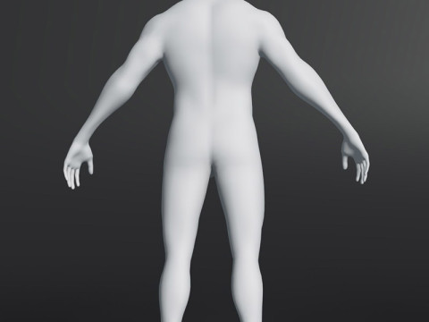 Male Body Base Mesh 28 Animations 20k Polygons 3D 模型