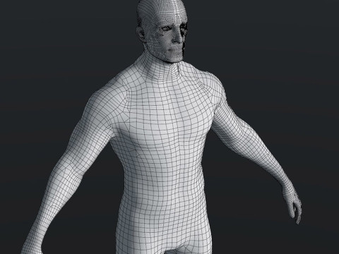 Male Body Base Mesh 28 Animations 20k Polygons 3D 模型