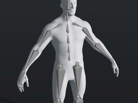 Male Body Base Mesh 28 Animations 20k Polygons 3D 模型
