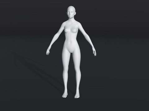 Female Body Base Mesh 28 Animations 20k Polygons Model 3D