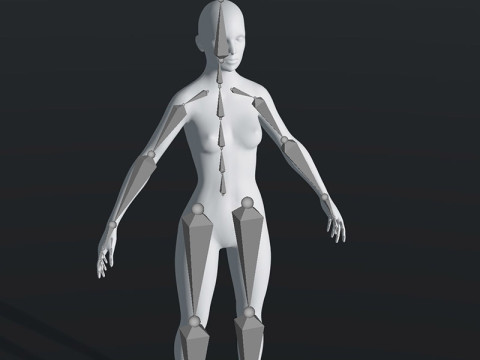 Female Body Base Mesh 28 Animations 20k Polygons Model 3D
