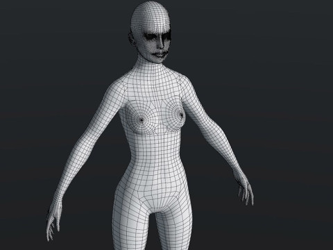 Female Body Base Mesh 28 Animations 20k Polygons Model 3D