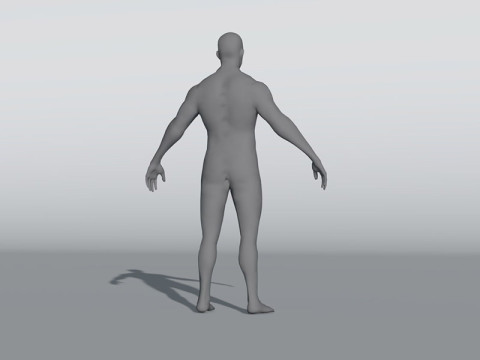 Male Body Base Mesh 28 Animations 5k Polygons Modello 3D
