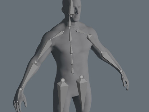 Male Body Base Mesh 28 Animations 5k Polygons Modello 3D