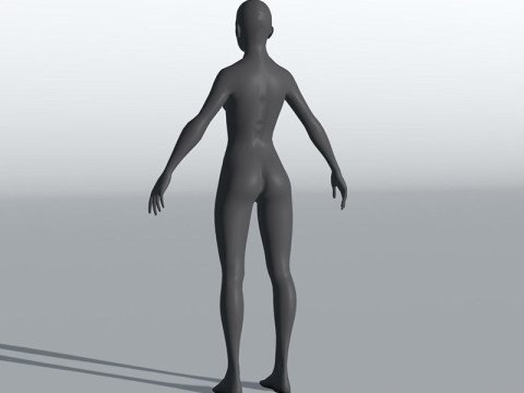 Female Body Base Mesh 28 Animations 5k Polygons Modello 3D