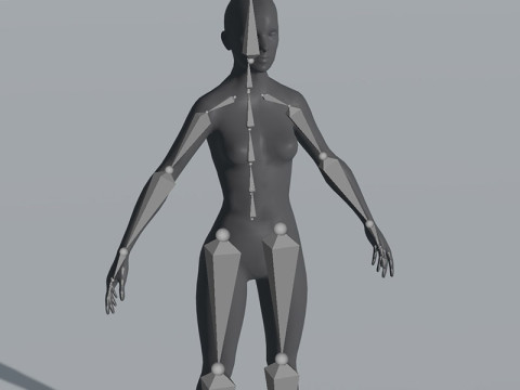 Female Body Base Mesh 28 Animations 5k Polygons Modello 3D