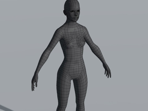 Female Body Base Mesh 28 Animations 5k Polygons Modello 3D