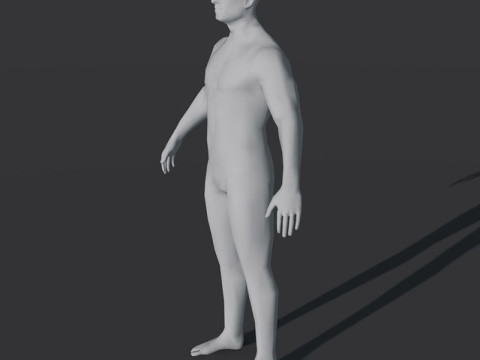 Male Body Base Mesh 28 Animations Modelo 3D