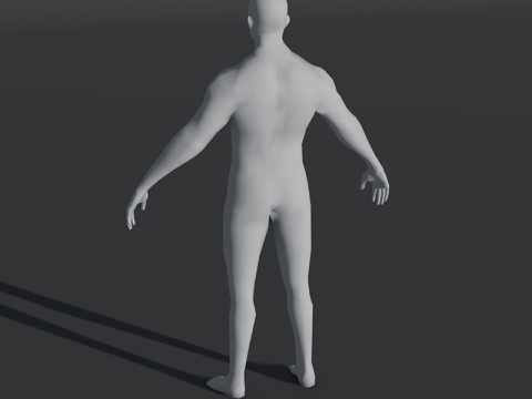 Male Body Base Mesh 28 Animations Modelo 3D