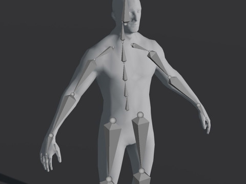 Male Body Base Mesh 28 Animations Modelo 3D