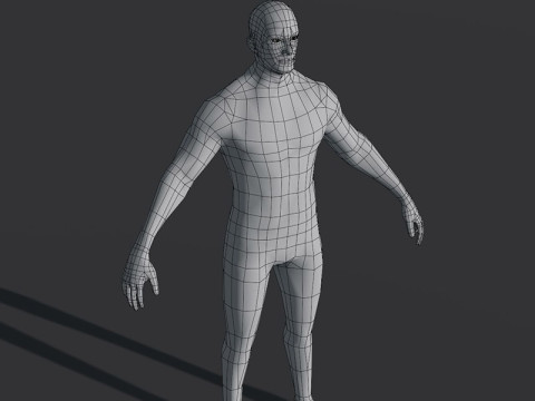 Male Body Base Mesh 28 Animations Modelo 3D