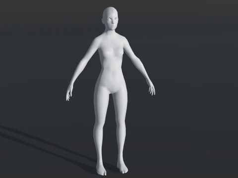 Female Body Base Mesh 28 Animations 3D Модель