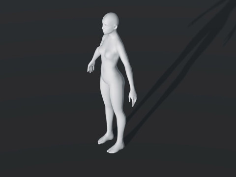 Female Body Base Mesh 28 Animations Modelo 3D