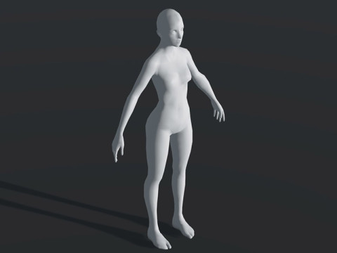 Female Body Base Mesh 28 Animations Modelo 3D