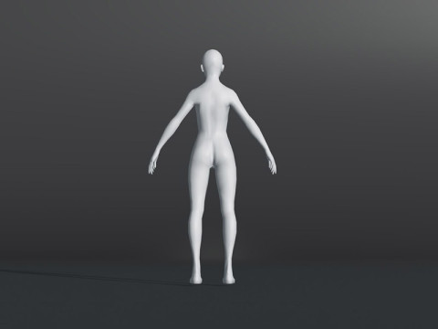 Female Body Base Mesh 28 Animations Modelo 3D