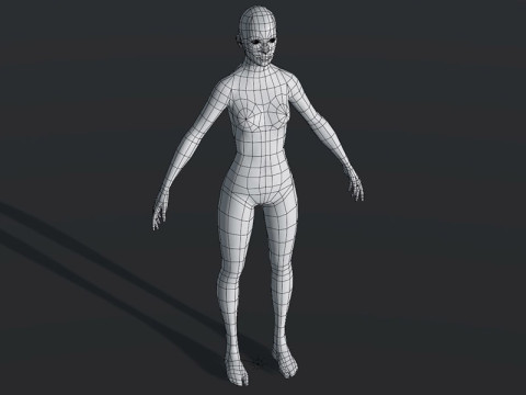 Female Body Base Mesh 28 Animations Modelo 3D