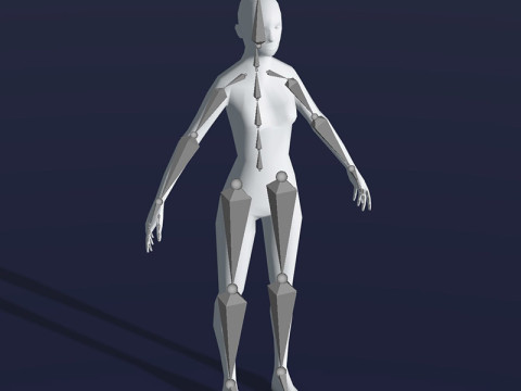Female Body Base Mesh 28 Animations 1k Polygons 3Dモデル