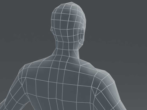 Male Body Base Mesh 1000 Polygons 3D Model