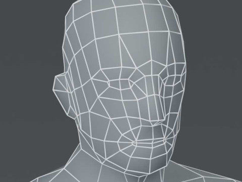 Male Body Base Mesh 1000 Polygons 3D Model