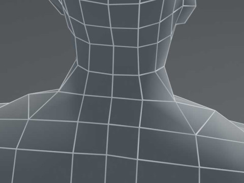 Male Body Base Mesh 1000 Polygons 3D Model