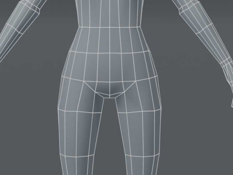 Female Body Base Mesh 1000 Polygons 3D Model