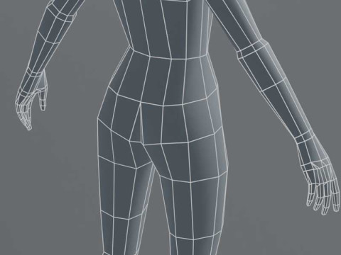Female Body Base Mesh 1000 Polygons 3D Model