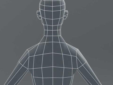 Female Body Base Mesh 1000 Polygons 3D Model