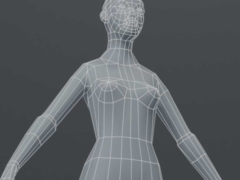 Female Body Base Mesh 1000 Polygons 3D Model