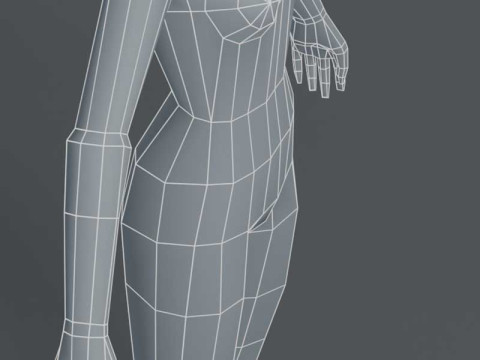 Female Body Base Mesh 1000 Polygons 3D Model