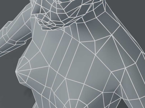 Female Body Base Mesh 1000 Polygons 3D Model
