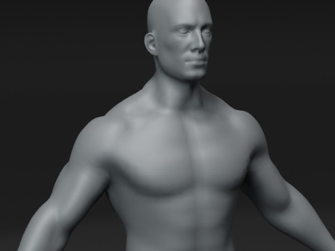 Male Body Base Mesh 10k Polygons 3Dモデル